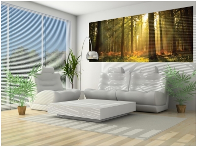 FOR WALL fototapetai 0576VEP 1 FOR WALL fototapetai 0576VEP 1