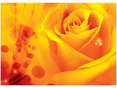 FOR WALL fototapetai 0580VE P4