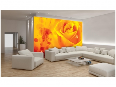FOR WALL fototapetai 0580VE XXL 1