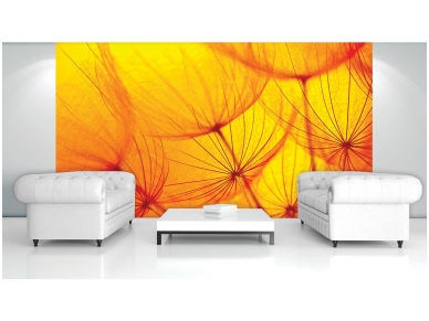 FOR WALL fototapetai 0583VE XXL 1