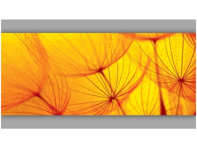 FOR WALL fototapetai 0583VEP