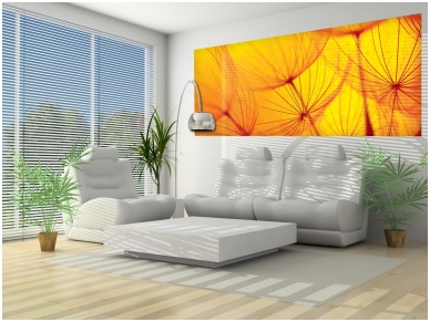 FOR WALL fototapetai 0583VEP 1