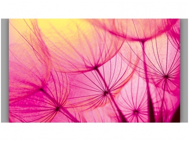 FOR WALL fototapetai 0584VE XXL FOR WALL fototapetai 0584VE XXL