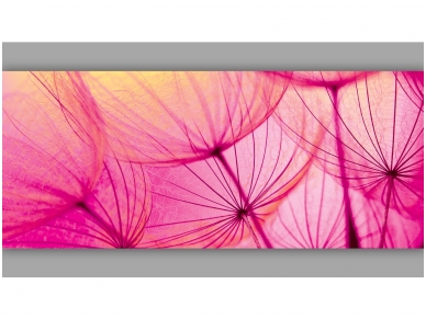 FOR WALL fototapetai 0584VEP