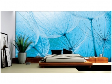 FOR WALL fototapetai 0586VE P8 1