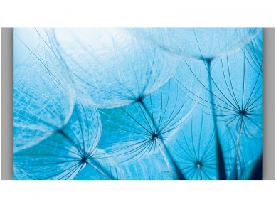 FOR WALL fototapetai 0586VE XXL FOR WALL fototapetai 0586VE XXL