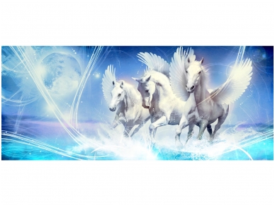 FOR WALL fototapetai 0588VEP