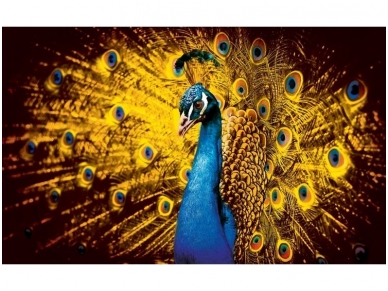 FOR WALL fototapetai 0631VE XXL FOR WALL fototapetai 0631VE XXL