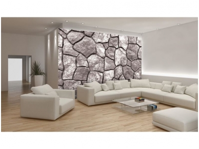 FOR WALL fototapetai 0643VE XL 1