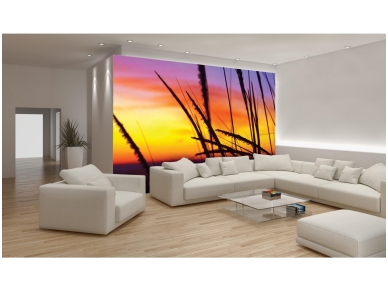 FOR WALL fototapetai 0650VE XXL 1