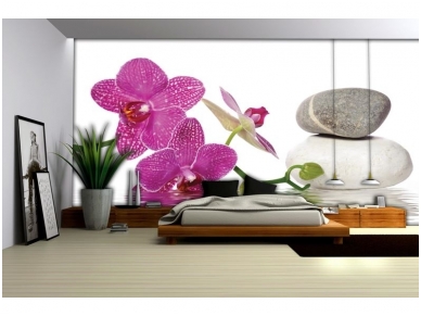 FOR WALL fototapetai 0652VE XXXL 1
