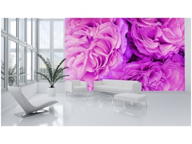FOR WALL fototapetai 0657VE XXL 1