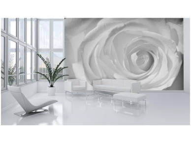 FOR WALL fototapetai 0659VE XXXL 1