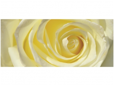 FOR WALL fototapetai 0660VEP