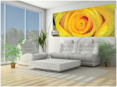 FOR WALL fototapetai 0661VEP 1