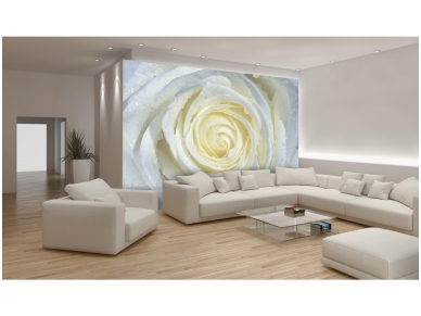 FOR WALL fototapetai 0663VE XXL 1