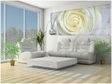 FOR WALL fototapetai 0663VEP 1