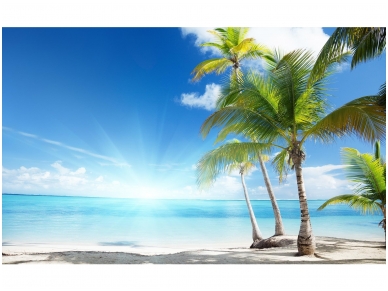 FOR WALL fototapetai 0735VE XL