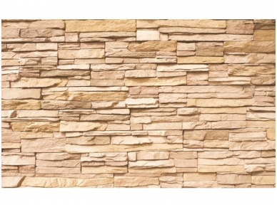 FOR WALL fototapetai 0761VE XXL