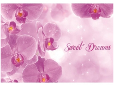 FOR WALL fototapetai 0778VE XXXL