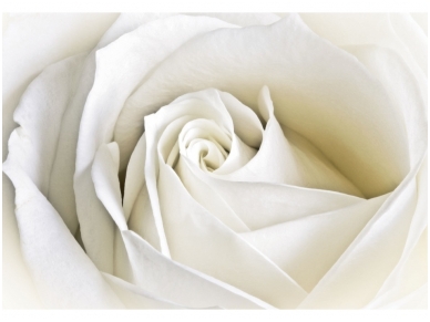 FOR WALL fototapetai 08-001VE XXL FOR WALL fototapetai 08-001VE XXL