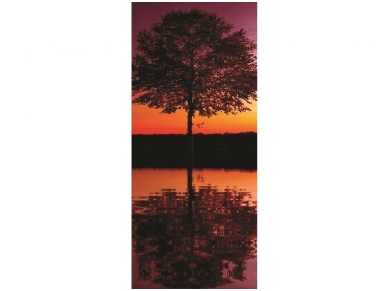 FOR WALL fototapetai 08-007VET
