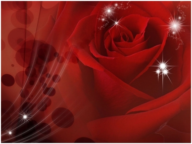 FOR WALL fototapetai 08-010VE XXXL