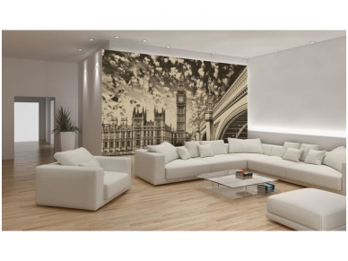 FOR WALL fototapetai 0845VE XXL 1