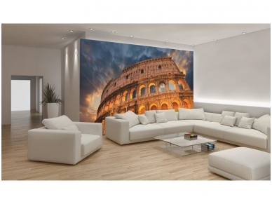 FOR WALL fototapetai 0848VE XXL 1