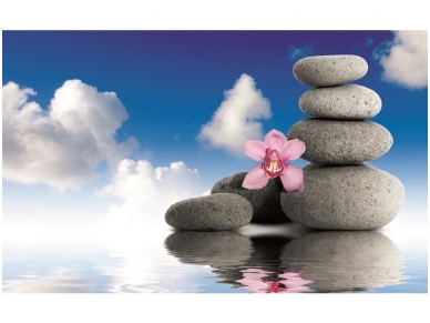 FOR WALL fototapetai 0849VE XXL FOR WALL fototapetai 0849VE XXL