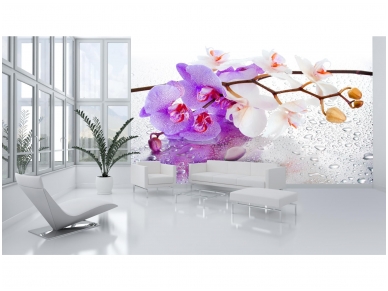 FOR WALL fototapetai 0869VE XXXL 1
