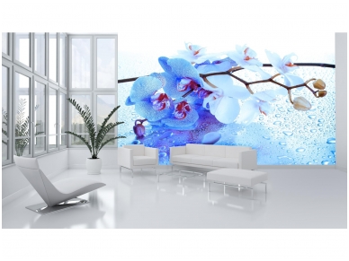 FOR WALL fototapetai 0872VE XXXL 1