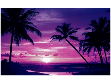 FOR WALL fototapetai 0889VE XXXL