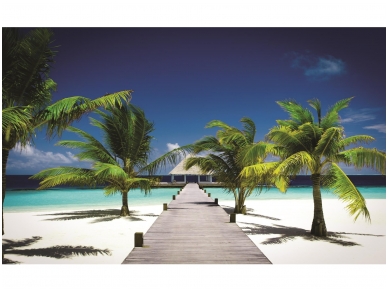 FOR WALL fototapetai 0891VE XXXL