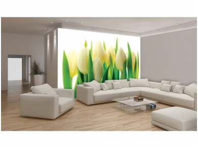 FOR WALL fototapetai 0894VE L 2