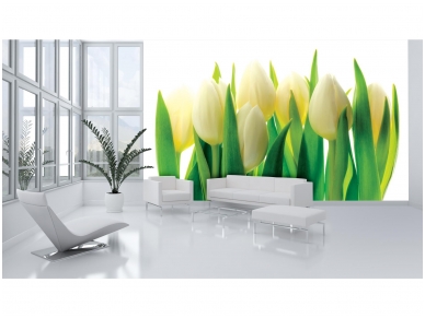 FOR WALL fototapetai 0894VE XXXL 1