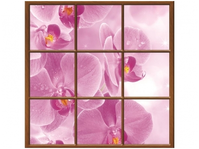 FOR WALL fototapetai 0932VECL FOR WALL fototapetai 0932VECL