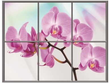 FOR WALL fototapetai 0940VEC