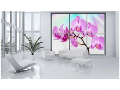 FOR WALL fototapetai 0940VEC 2