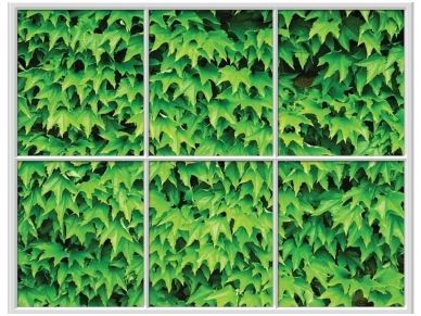 FOR WALL fototapetai 0946VEC FOR WALL fototapetai 0946VEC