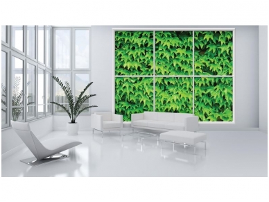 FOR WALL fototapetai 0946VEC 2