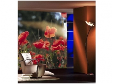Fototapetai 03033-10 1