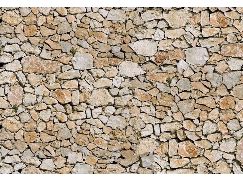 FOR WALL fototapetai 0036VE XL