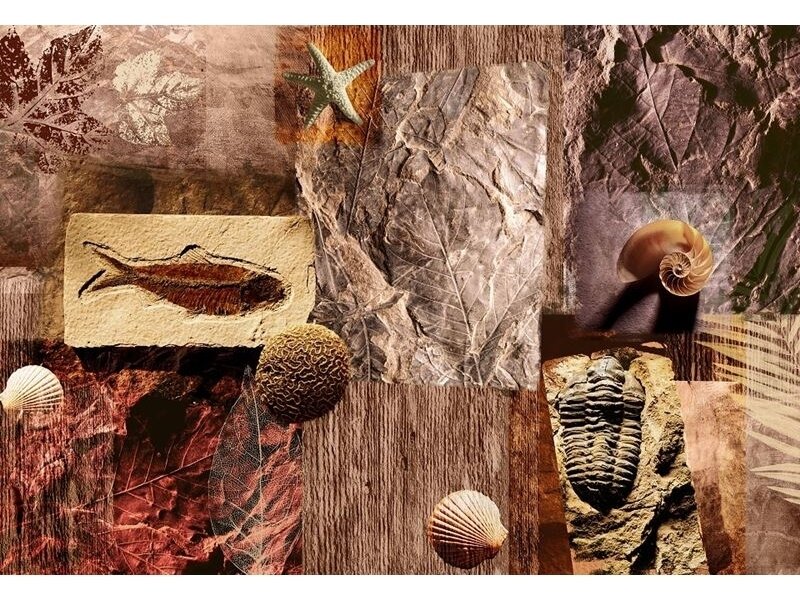 FOR WALL fototapetai 0053VE XXXL