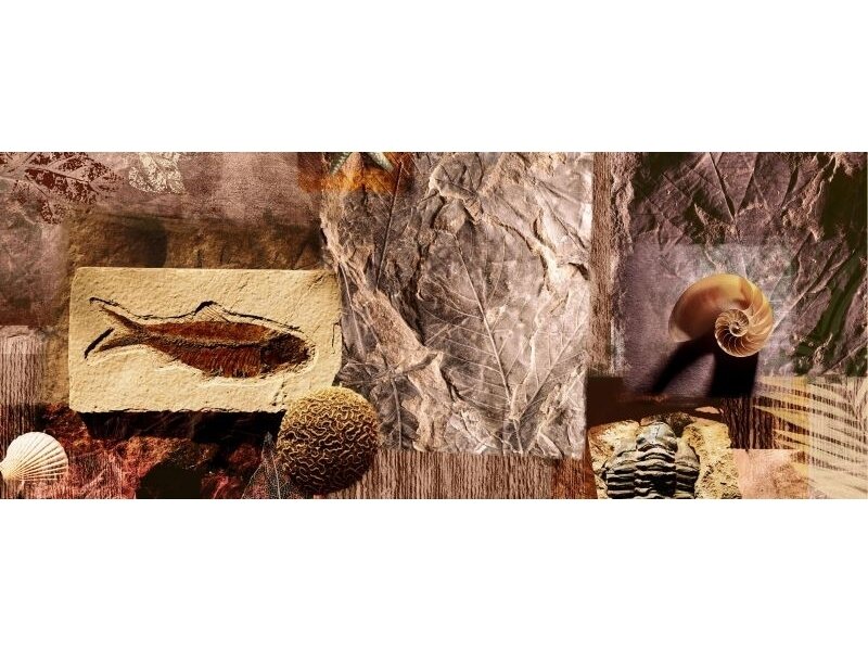 FOR WALL fototapetai 0053VEP FOR WALL fototapetai 0053VEP