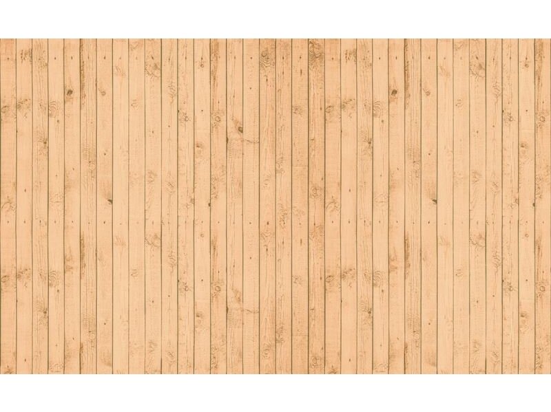 FOR WALL fototapetai 1011VE XXXL