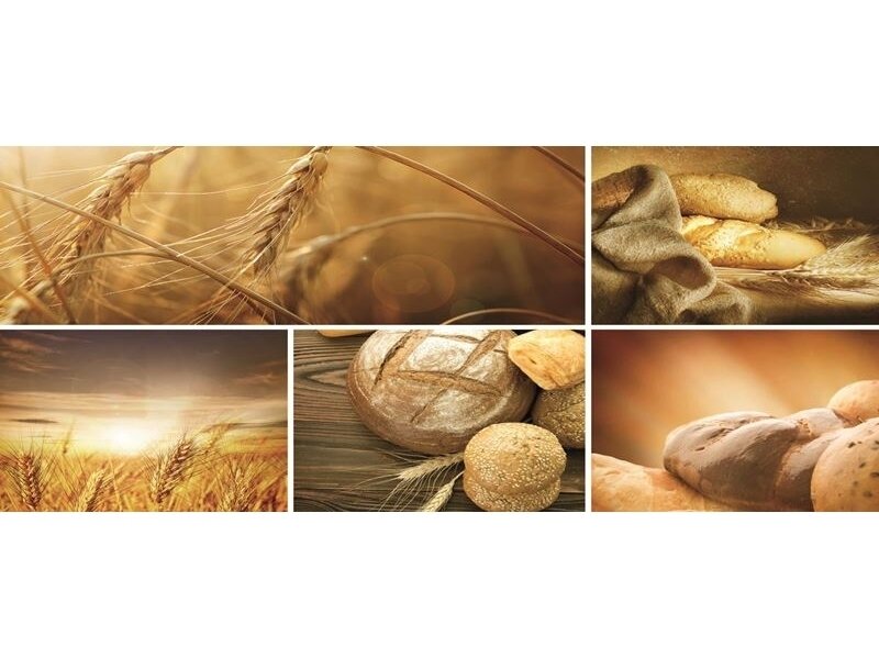 FOR WALL fototapetai 0103VEP