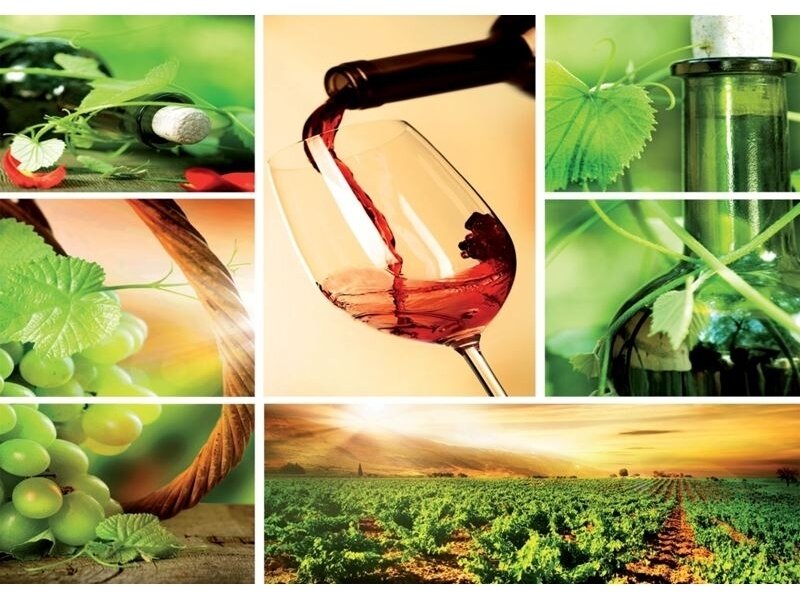 FOR WALL fototapetai 0104VE XXL