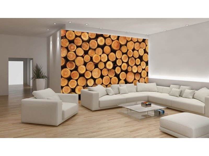 FOR WALL fototapetai 1068VE M 2 FOR WALL fototapetai 1068VE M 2