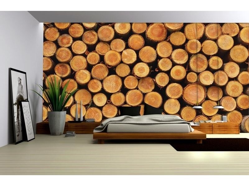 FOR WALL fototapetai 1068VE XXXL 1